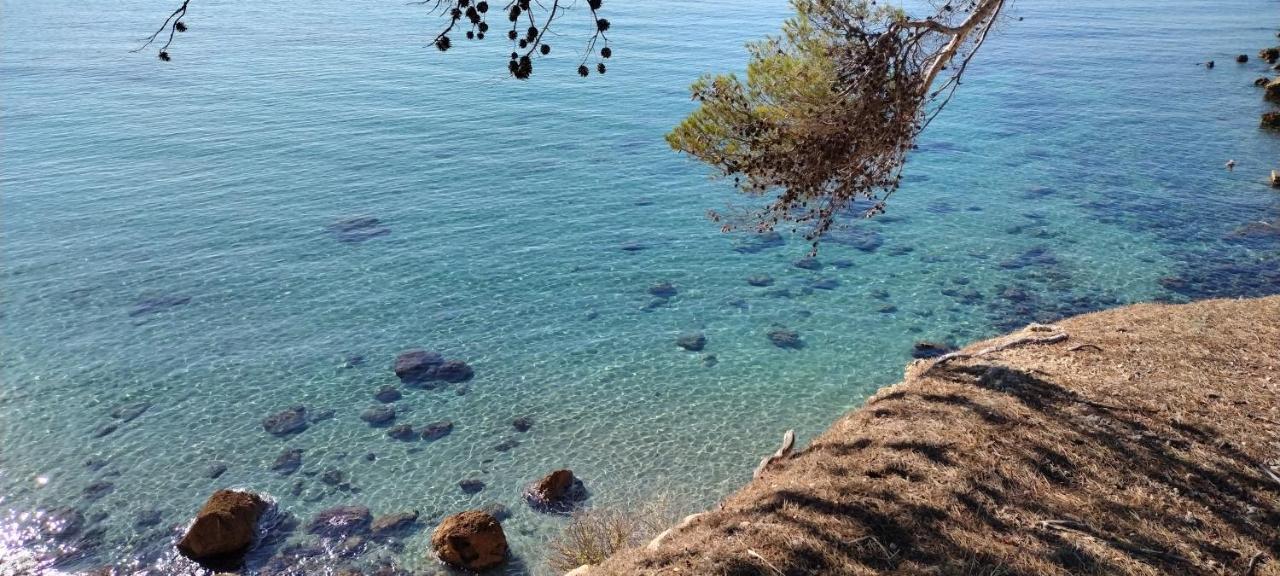 Sanary Cote Mer Kültér fotó